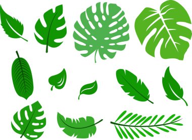 Yaprak (çoğul yapraklar), genellikle yerin üstünde bulunan ve fotosentez için özelleşmiş vasküler bitki sapının ana yan uzantısıdır..