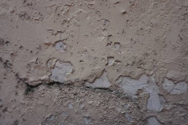 Kabataslak ve soyulmuş doku hakkında fotoğraf, arkaplan için uygun