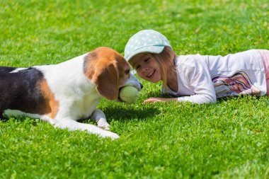 Happy little girl playing with beagle dog in garden.