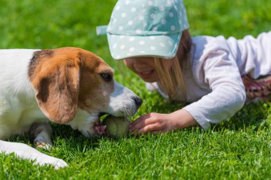 Mutlu küçük kız bahçede av köpeğiyle oynuyor..