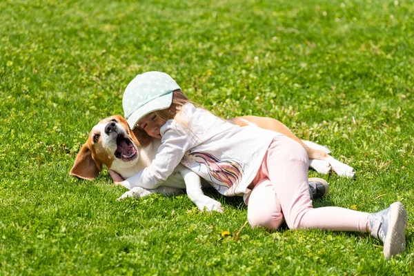 Feliz niña jugando con el perro beagle en el jardín. —  Fotos de Stock