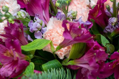 carnation bud inside a bouquet of purple alstroemeria