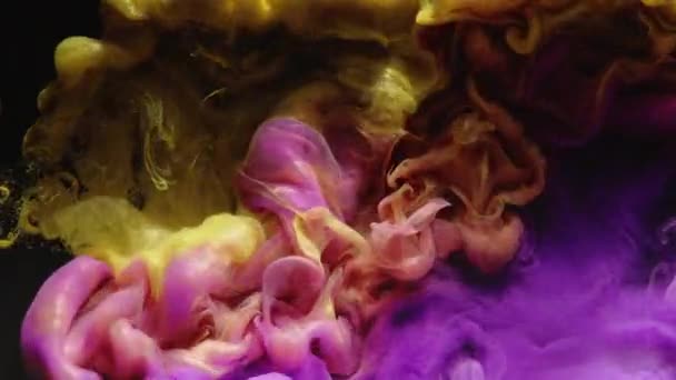 Tinta víz fröccsenés logó felfedi sárga lila felhő — Stock videók