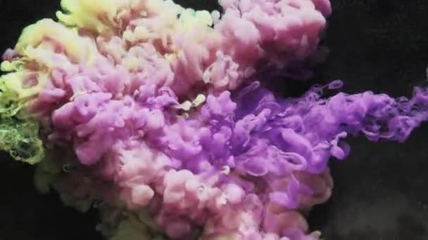 Måla vatten skott färg ånga moln lila gul — Stockvideo
