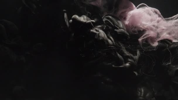 Peinture eau mélange logo révéler rose noir flux de fumée — Video
