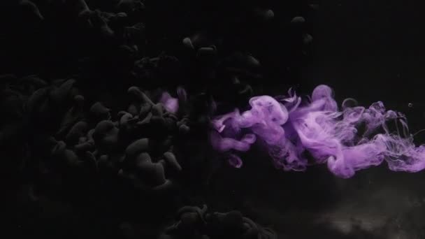 Чернильная вода выстрел цвет дыма облако фиолетовый черный смесь — стоковое видео