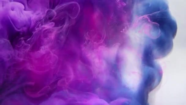 Atrament woda kropla kolor plusk neon fioletowy niebieski chmura — Wideo stockowe