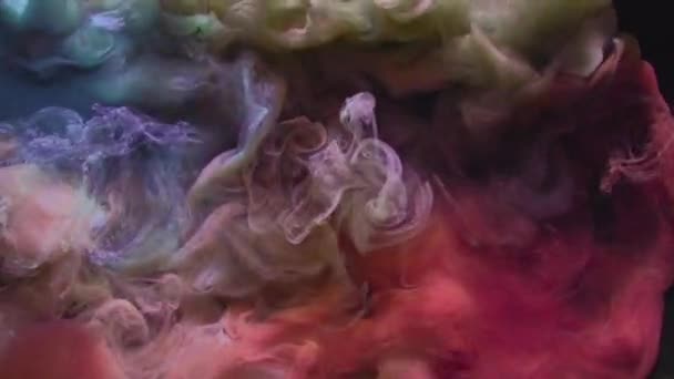 Bläck vatten skott färg rök stänk blå korall röd — Stockvideo