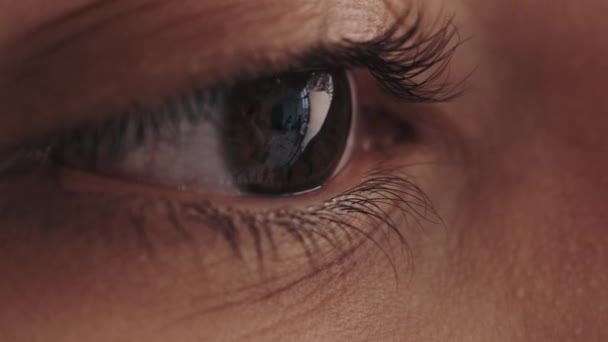 Correctie van het gezichtsvermogen van het oog macro open bruine iris — Stockvideo