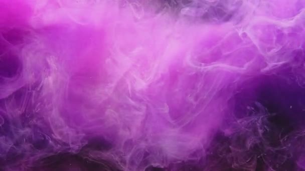 Couleur vapeur souffle logo révéler néon nuage de brume rose — Video