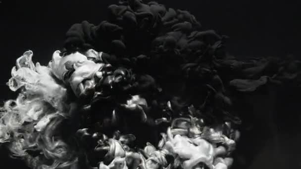 Tinta víz lövés logó felfedi fekete ezüst füst mix — Stock videók