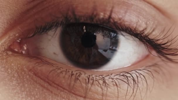 Глаза макро человеческое зрение открытое коричневая радужная оболочка мигает — стоковое видео