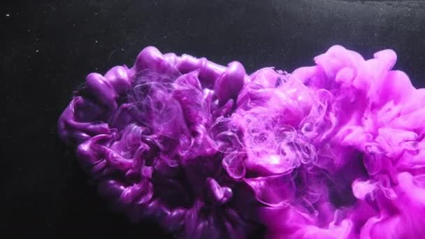 Color explosión logo revelar efecto tinta en agua rosa — Vídeos de Stock