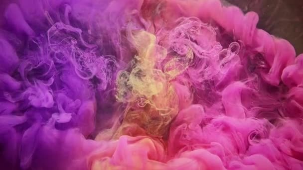 Colore esplosione inchiostro goccia d'acqua rosa viola giallo nebbia — Video Stock