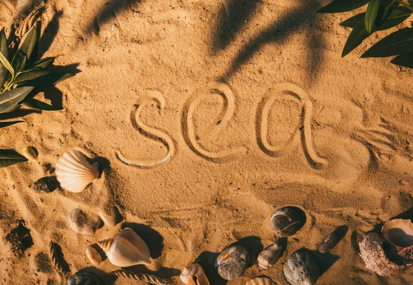 Zand achtergrond zomer vakantie zee woord schelp — Stockfoto