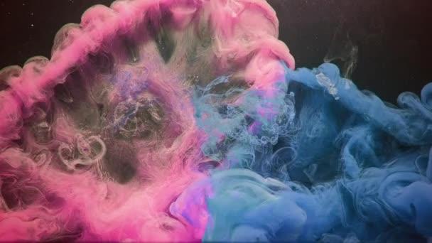Inchiostro spruzzi d'acqua logo apri rosa blu fumo nuvola — Video Stock