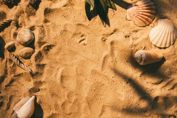 Sand bakgrund sommar ö snäcka sten strand — Stockfoto