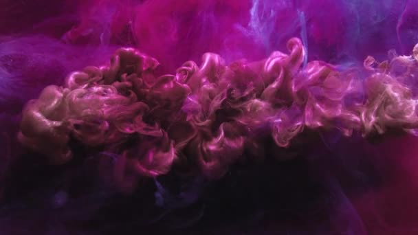 Flare fluid smoke trail motion logo reveal pink — Stock Video