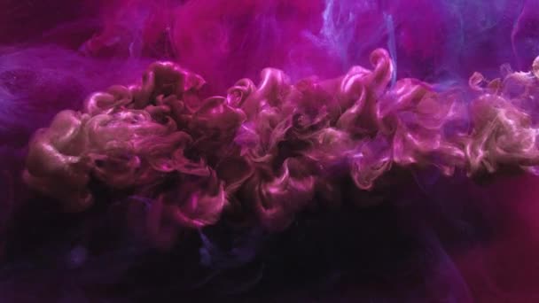 Flare fluid smoke trail motion logo reveal pink — Stock Footage Flare fluid smoke trail motion logo reveal pink — Stock Video
