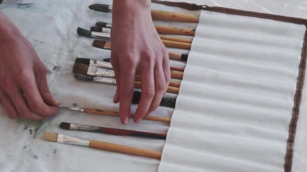 Conjunto de pintura artista feminina processo de preparação — Vídeo de Stock