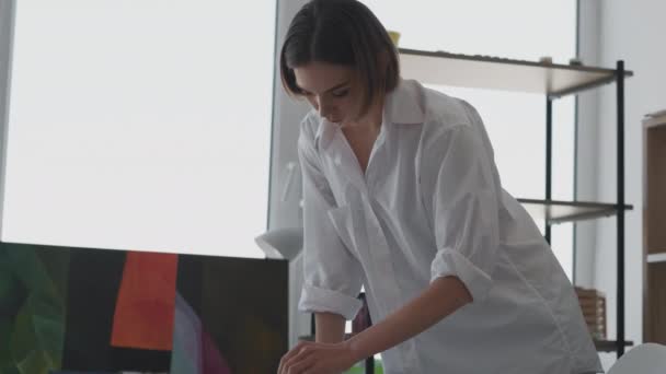 Artista profesional bonita mujer herramientas de pintura — Vídeo de stock
