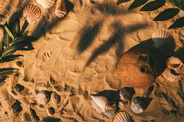 Тропический фон летний рай кокосовый песок — стоковое фото