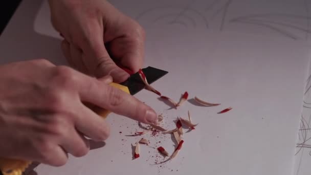 Preparación herramientas de pintura proceso creativo — Vídeos de Stock