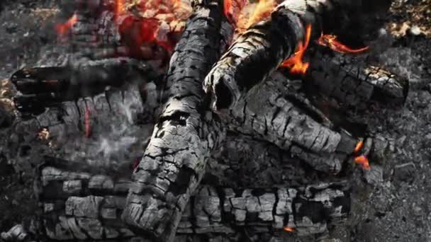 Kampvuur achtergrond branden hout vuur vlam rook — Stockvideo