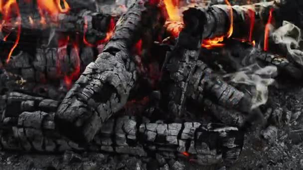Καύση φωτιά υπαίθρια πικνίκ κάμπινγκ φλόγα ξύλο — Αρχείο Βίντεο