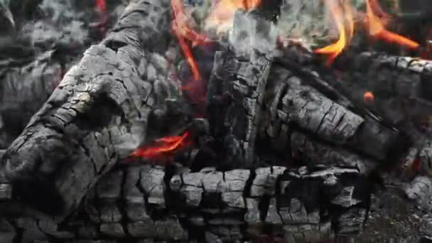 Fuego de leña fuego de campamento de verano llama chispas humo — Vídeo de stock