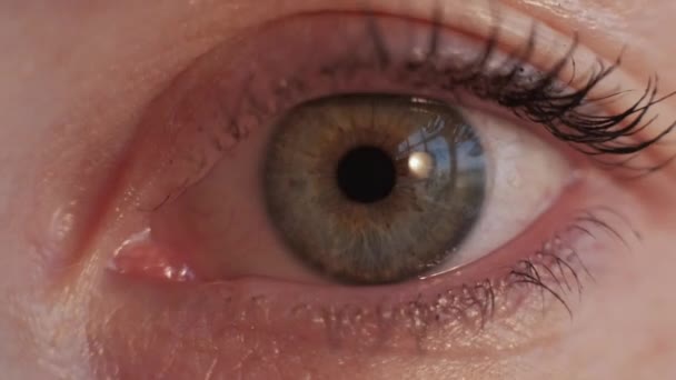 Офтальмологія перевірка зорового фокусу жіночого ока — стокове відео