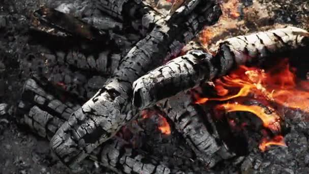 Sparking bonfire camping leisure flame smoke wood — Stock video