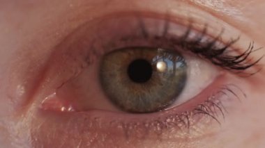 human sight ophthalmology check health care