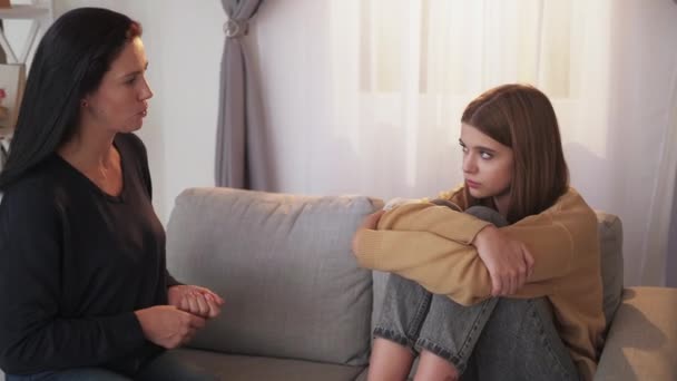 Hard teenager life parents problem family quarrel — Stock Video