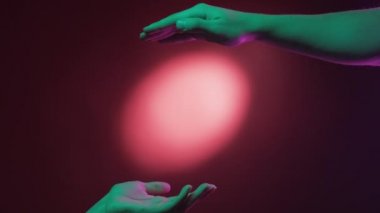 couple connection common creature neon light