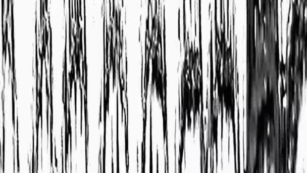 Vieux tv glitch scintillement bruit superposition noir blanc — Video