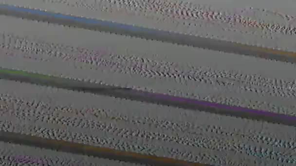 Störung Textur digitales Rauschen Overlay dunkel faltig — Stockvideo