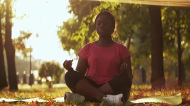 Park meditasyon doğa yoga kadın lotus sonbahar