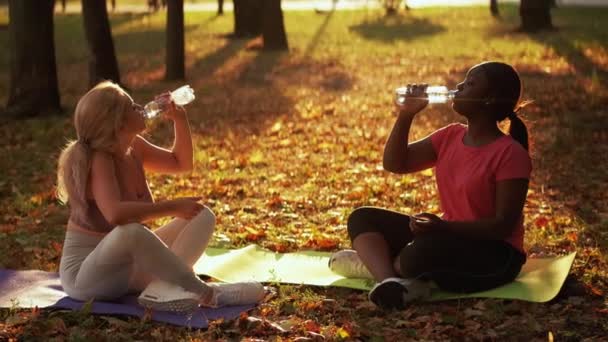 Fitness eau entraînement pause boire femmes parc — Video