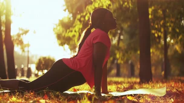 Yoga al aire libre parque fitness deportivo mujer entrenamiento — Vídeo de stock