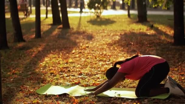 Outdoor workout park oefening vrouw training yoga — Stockvideo