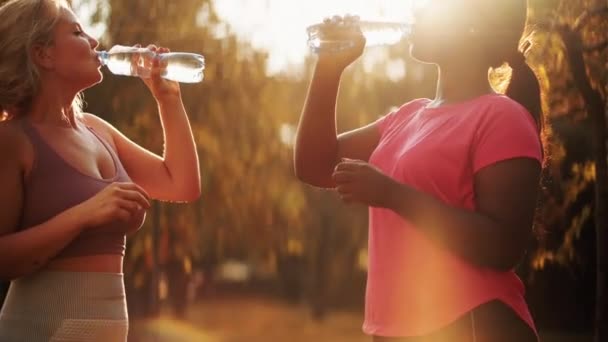 Hydratation saine équilibre hydrique sport femmes parc — Video