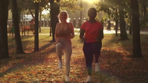 Motionera tillsammans park aktivitet kvinnor träning — Stockvideo