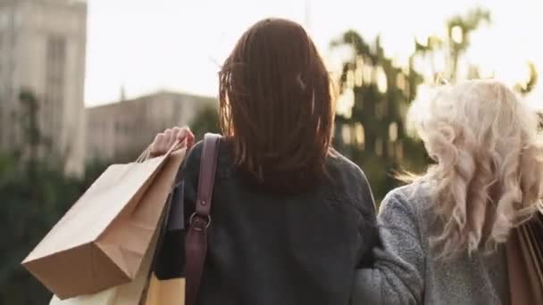 Shopping friends retail leisure women bags street — Stock Video