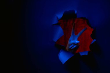 Barış jesti taraftar desteği V işareti