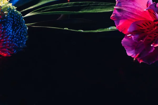 ネオン最小限の花の背景紫ピンク — ストック写真