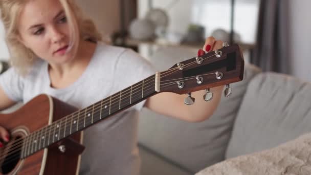 Melodi instrument inspirerad kvinna favorit hobby — Stockvideo