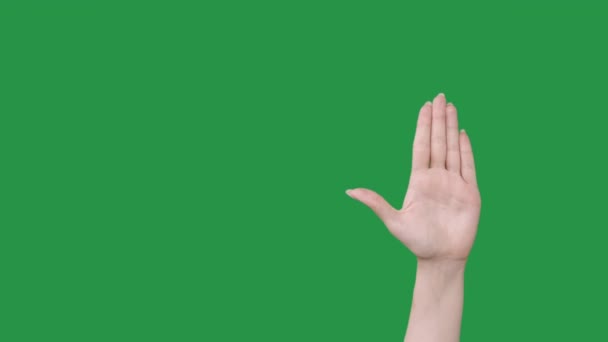 Стоп жест отказа нет рука показывает ограничение — стоковое видео