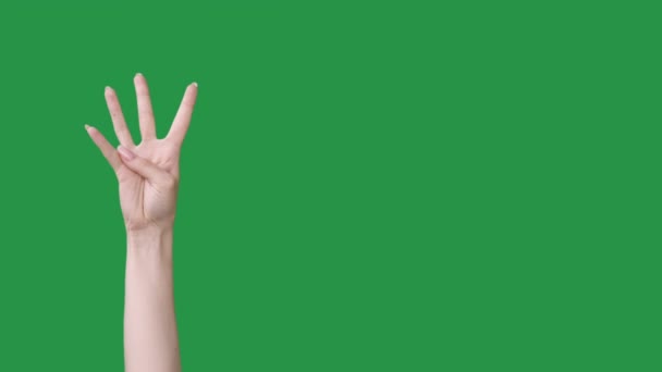 Contagem regressiva mão numerais gesto conjunto de 3 — Vídeo de Stock