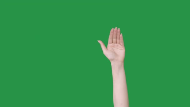 Goodbye gesture leaving bye see you hand waving — Stock Video